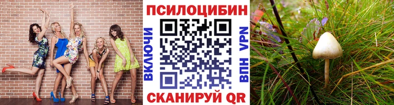 Галлюциногенные грибы мицелий Бабушкин