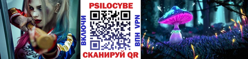 Купить где  Бабушкин  Галлюциногенные грибы Psilocybe 